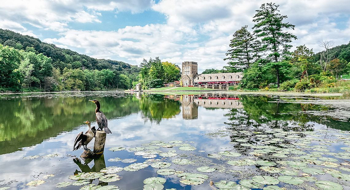 Pittsburgh Neighborhoods Walnut Capital